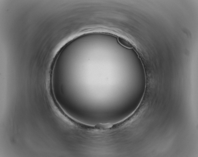 X0000112051518200908111339