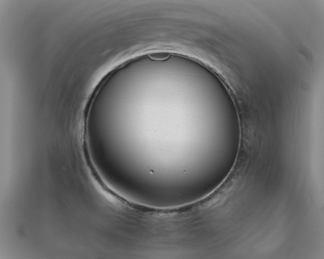 X0000112051519200908111339