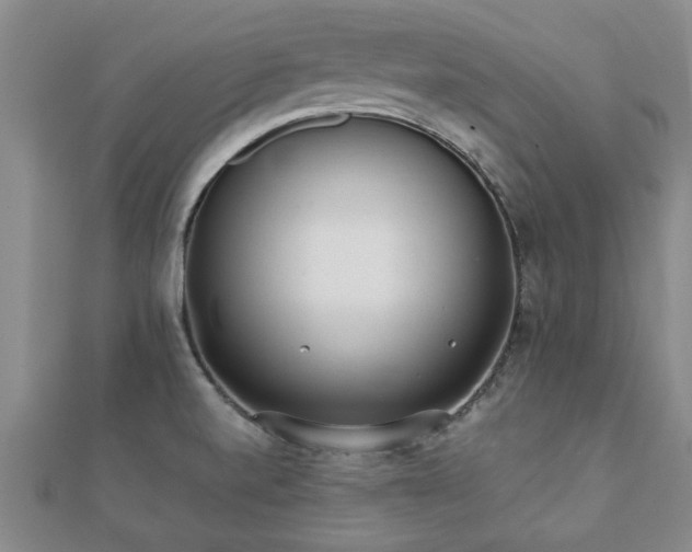 X0000112051520200908111339