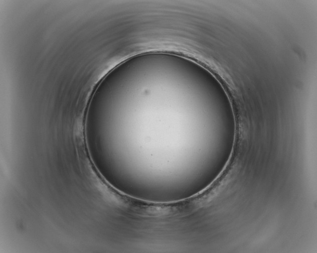 X0000112051521200908111339