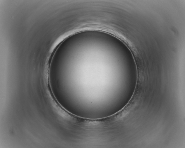 X0000112051522200908111339