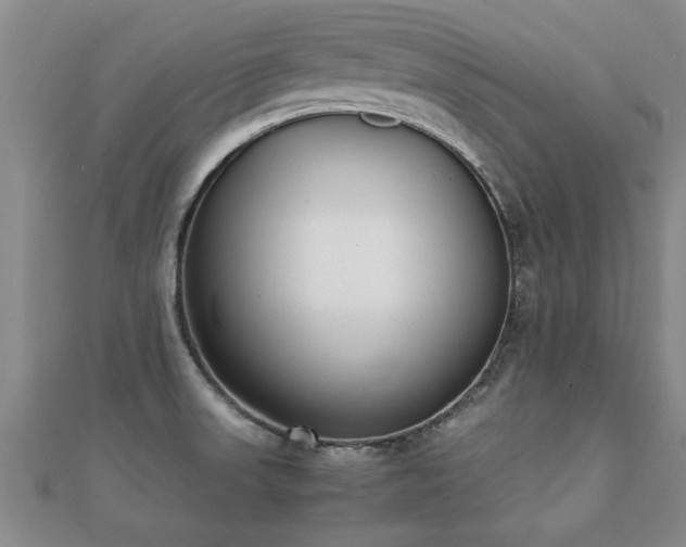 X0000112051523200908111339