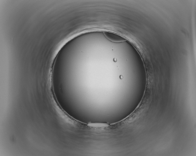 X0000112051524200908111339