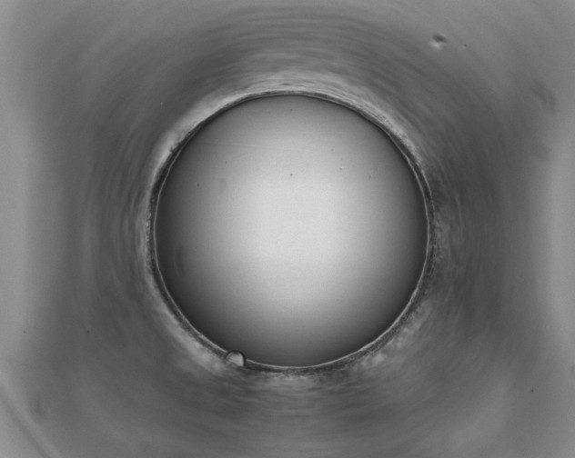 X0000112051525200908111339