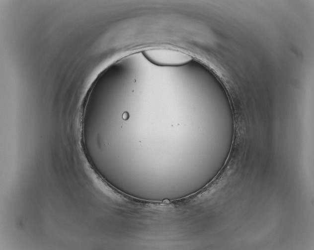 X0000112051526200908111339