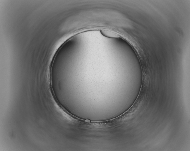 X0000112051527200908111339