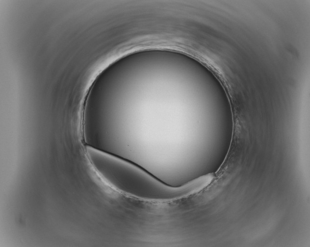 X0000112051528200908111339