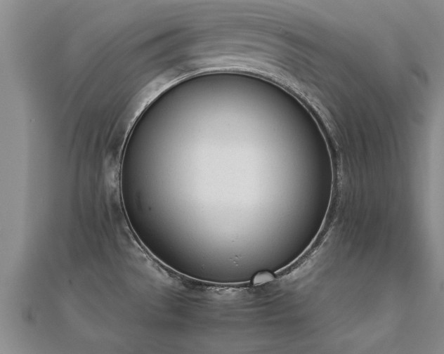 X0000112051529200908111339