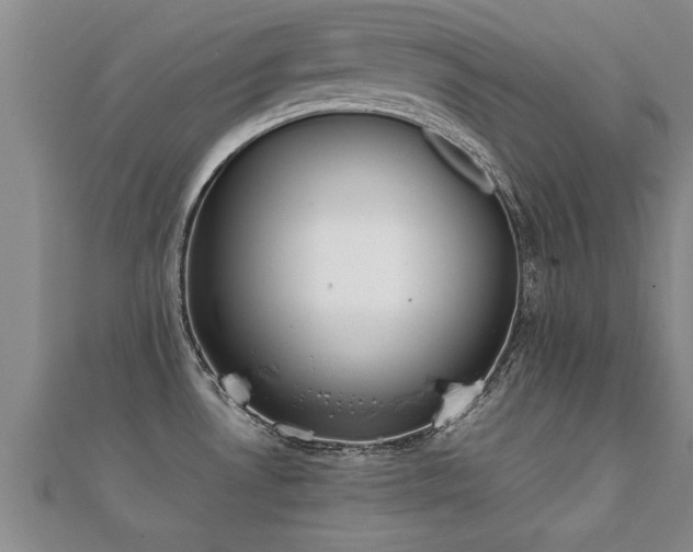 X0000112051530200908111339