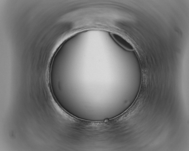 X0000112051531200908111339