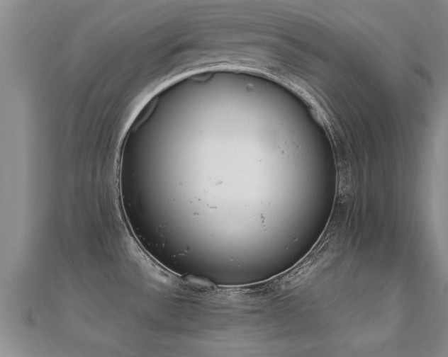 X0000112051532200908111339