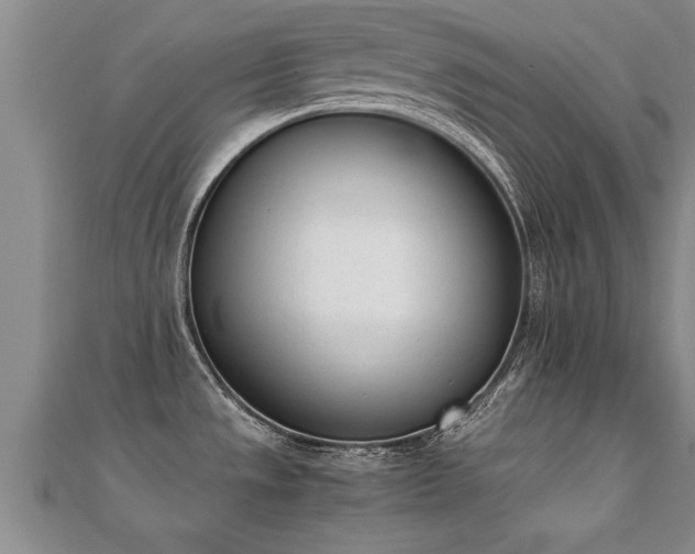 X0000112051533200908111339