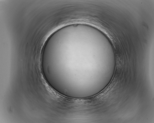 X0000112051534200908111339