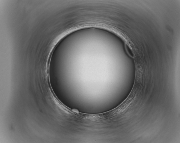 X0000112051535200908111339