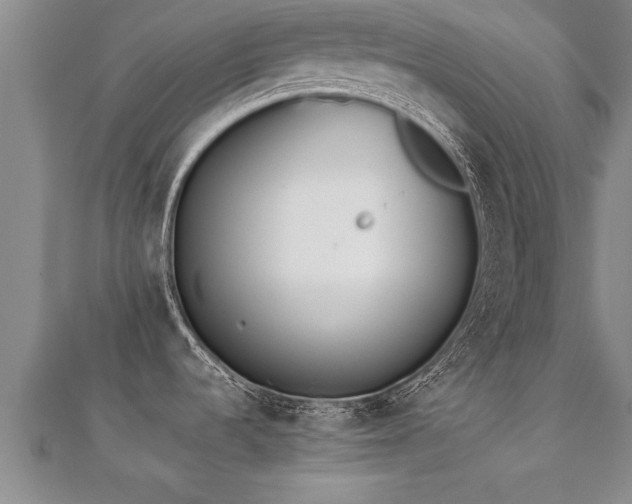 X0000112051536200908111339