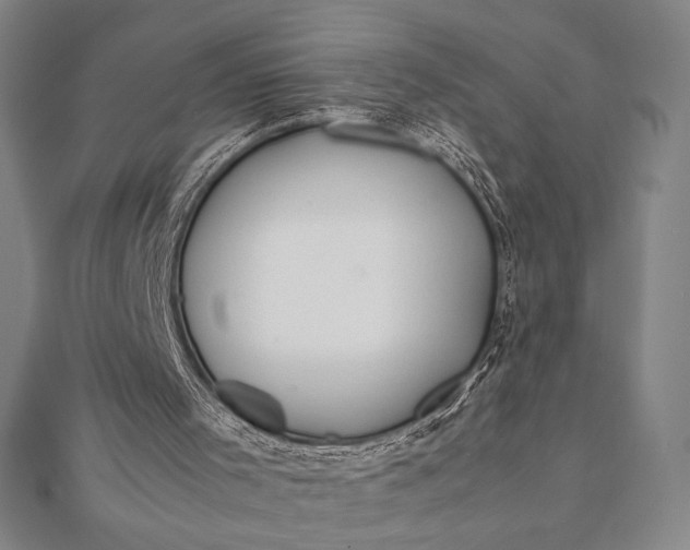 X0000112050001200908181146