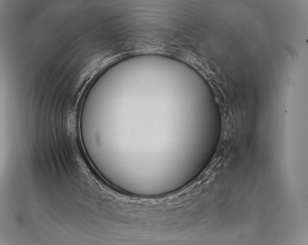 X0000112050002200908181146