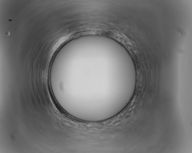 X0000112050003200908181146