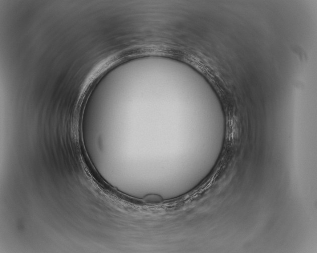 X0000112050004200908181146