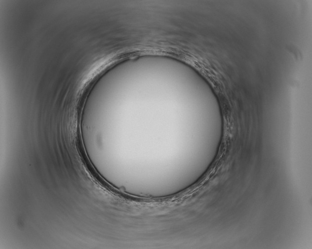 X0000112050005200908181146