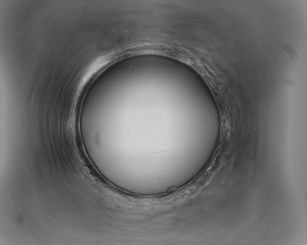 X0000112050006200908181146