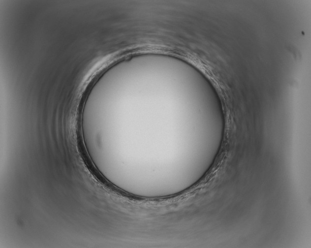 X0000112050007200908181146