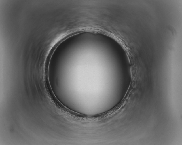 X0000112050008200908181146