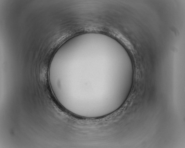 X0000112050009200908181146