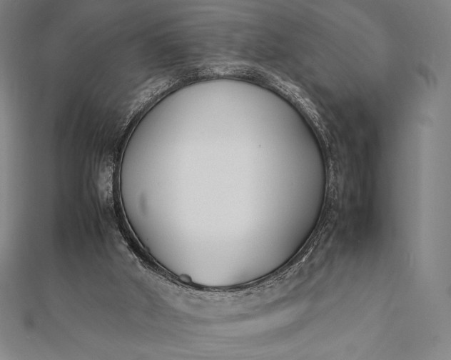 X0000112050010200908181146