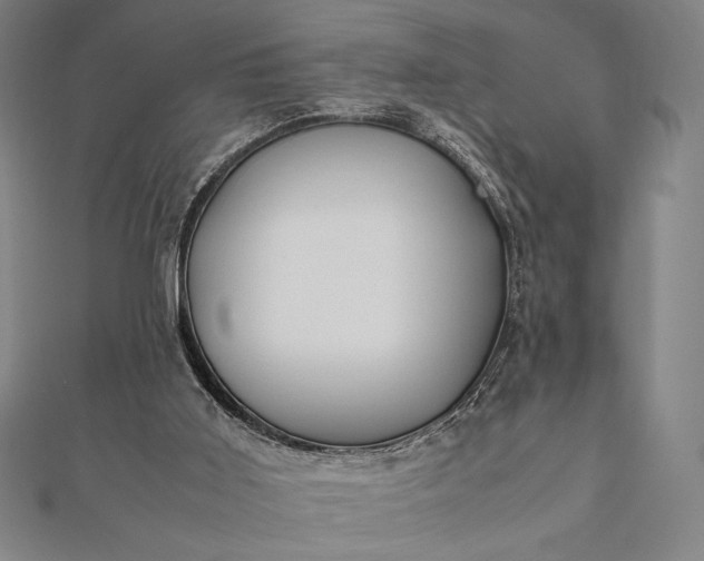 X0000112050011200908181146