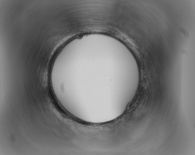 X0000112050012200908181146