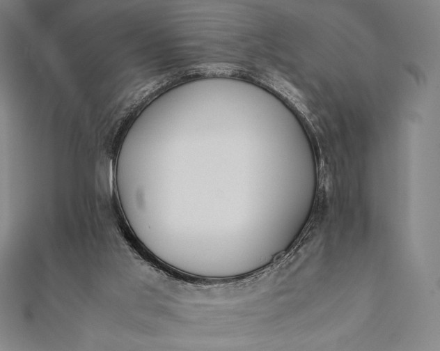 X0000112050013200908181146