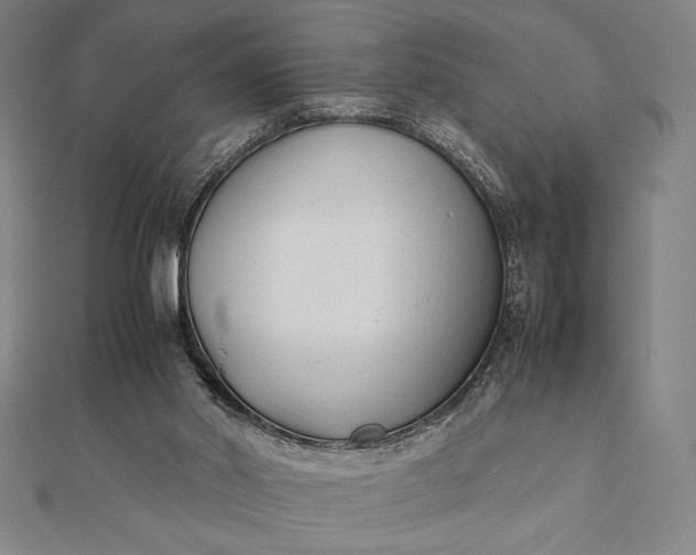 X0000112050014200908181146