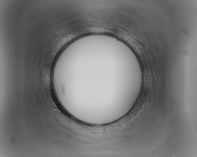 X0000112050015200908181146