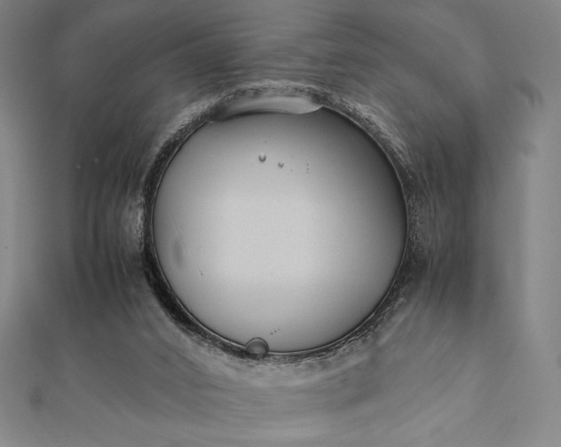 X0000112050016200908181146