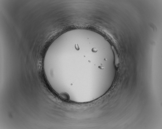 X0000112050017200908181146