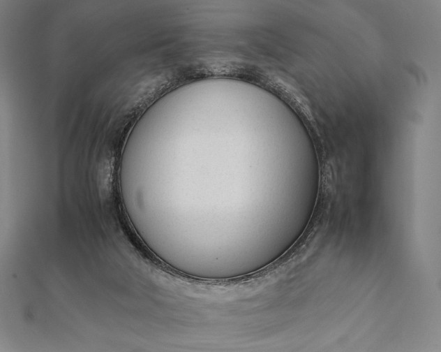 X0000112050018200908181146