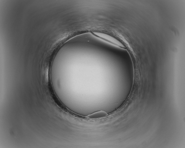 X0000112050019200908181146