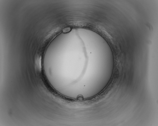 X0000112050020200908181146