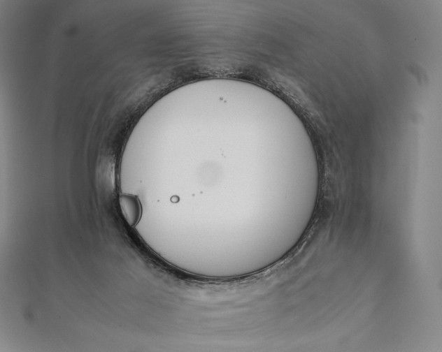 X0000112050021200908181146