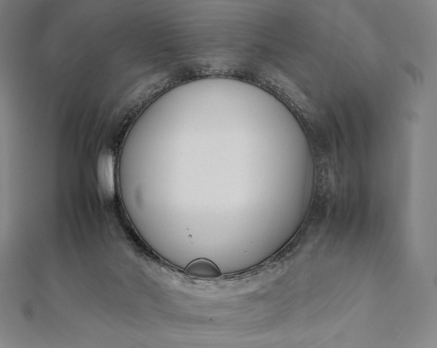 X0000112050022200908181146