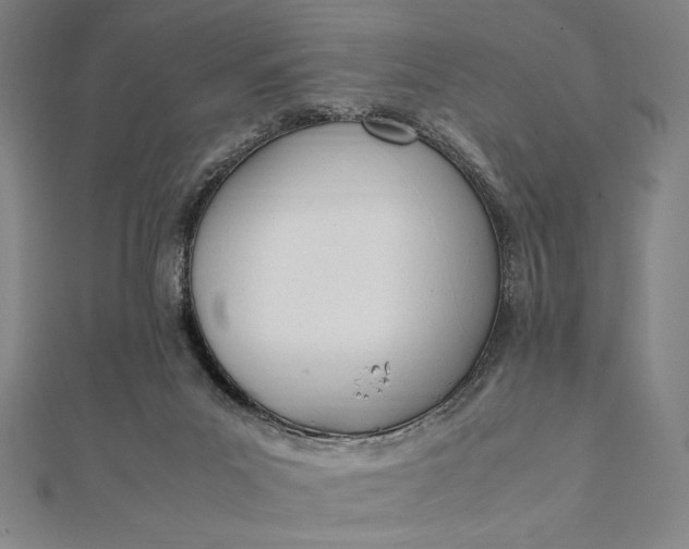 X0000112050023200908181146