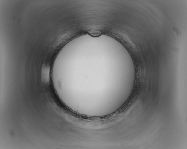 X0000112050024200908181146