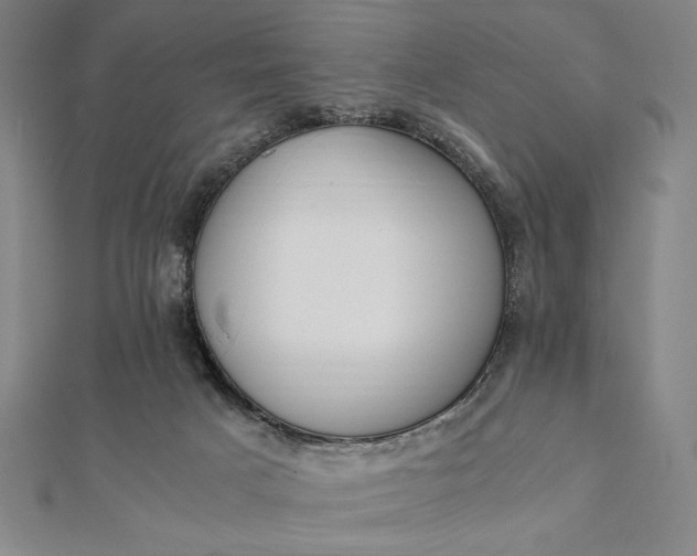 X0000112050025200908181146