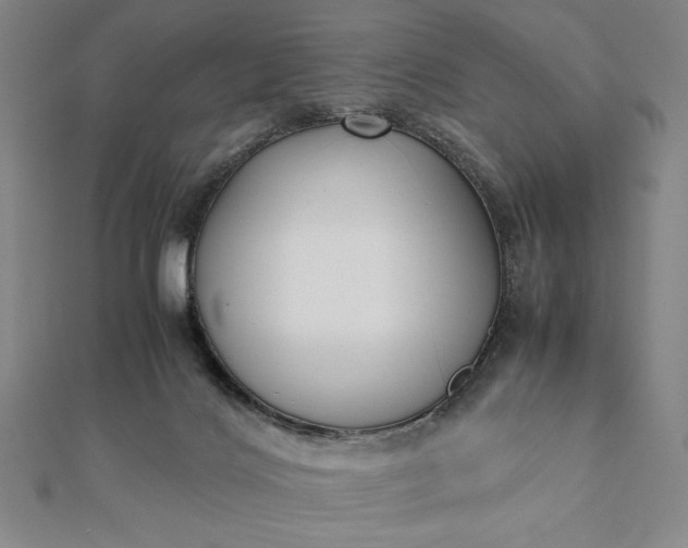 X0000112050028200908181146