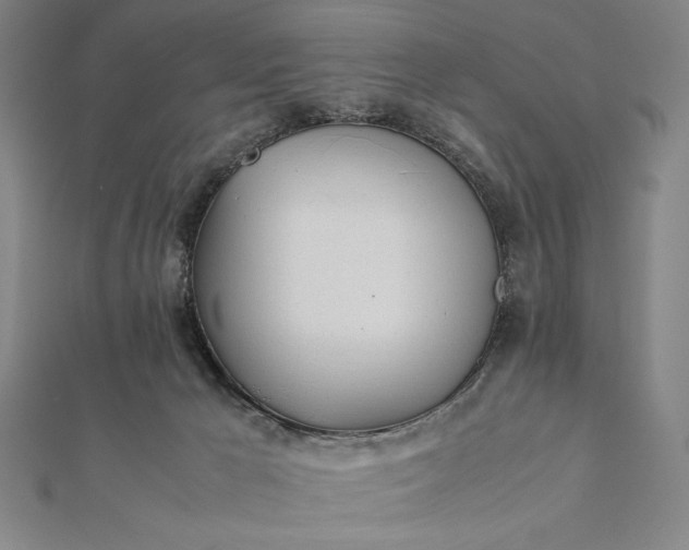 X0000112050029200908181146