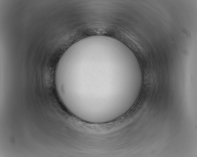 X0000112050030200908181146