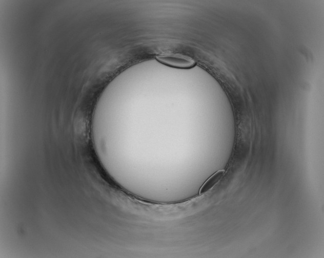 X0000112050031200908181146