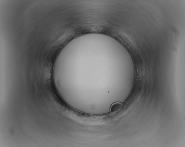 X0000112050032200908181146