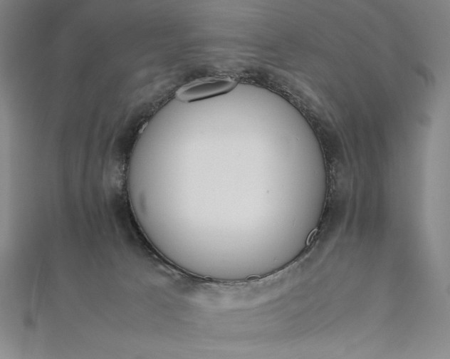 X0000112050033200908181146